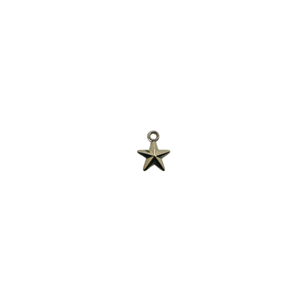 Silver Star Charm